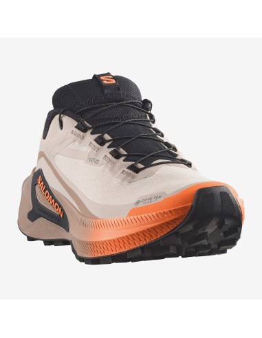 Salomon Genesis 2 GTX W L45388200