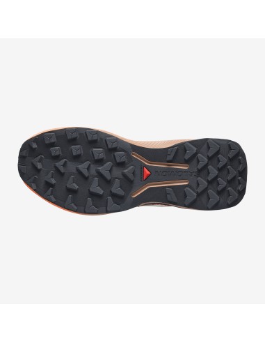 Salomon Genesis 2 GTX W L45388200