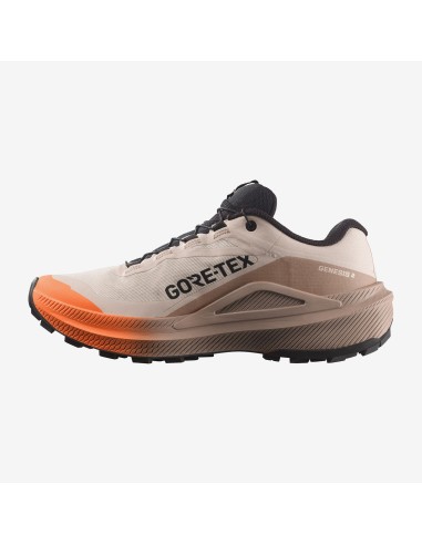 Salomon Genesis 2 GTX W L45388200