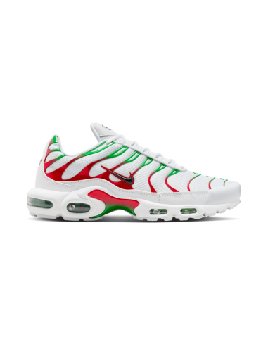 Nike Air Max Plus Italy DM0032108 MBS