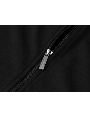 Puma Ess sweatshirt M 679633 01