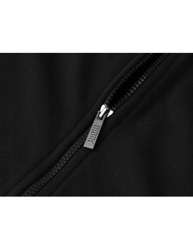 Puma Ess sweatshirt M 679633 01