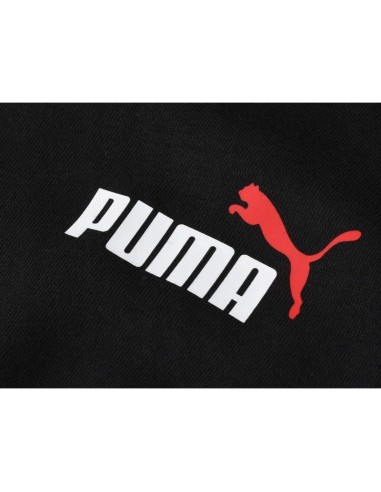 Puma Ess sweatshirt M 679633 01