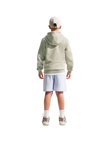 Nike Sportswear Club Fleece Kids' Sweatshirt Light Green FD3000 304