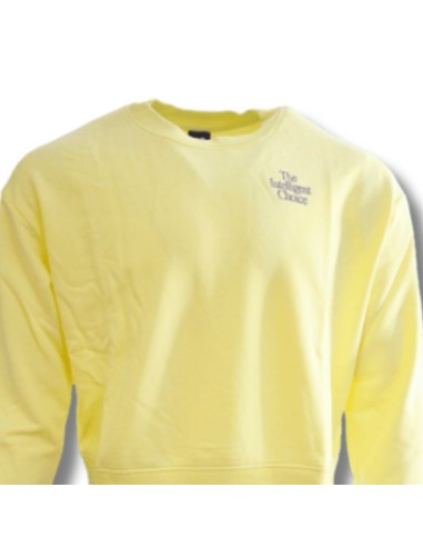 New Balance Athletics IC Crewneck Sweatshirt 2 Women's Sweatshirt WT13562SAY