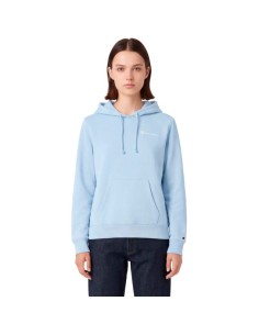 Champion Women's Hoodie Sweatshirt Blue 118404 BS224