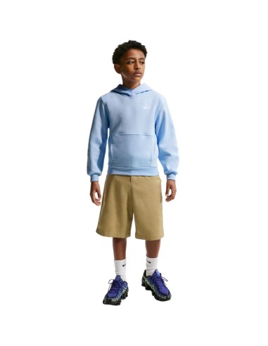 Nike Sportswear Club Fleece Kids' Sweatshirt Light Blue FD3000 408
