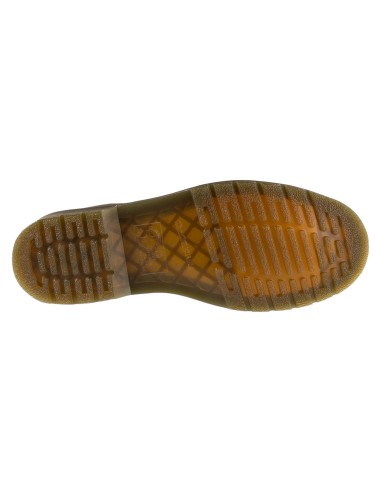 Dr Martens 1460 Pascal DM31981201