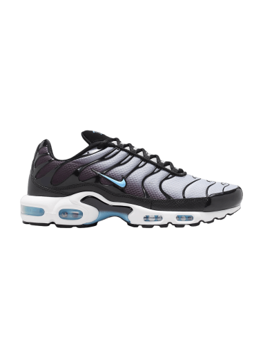 Nike Air Max Plus Black Light Smoke Grey DM0032042 MBS