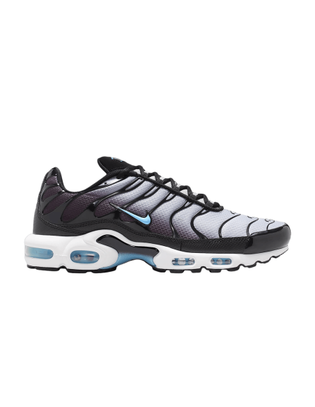 Nike Air Max Plus Black Light Smoke Grey DM0032042 MBS