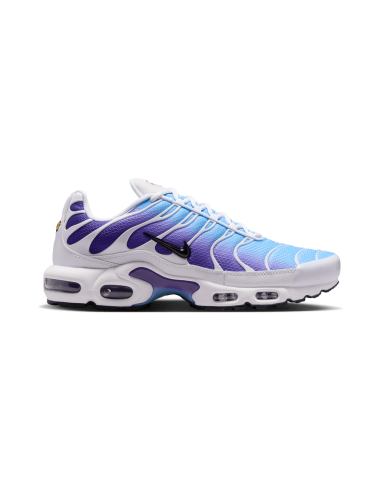 Nike Air Max Plus White Gradient Blue DM0032111 MBS