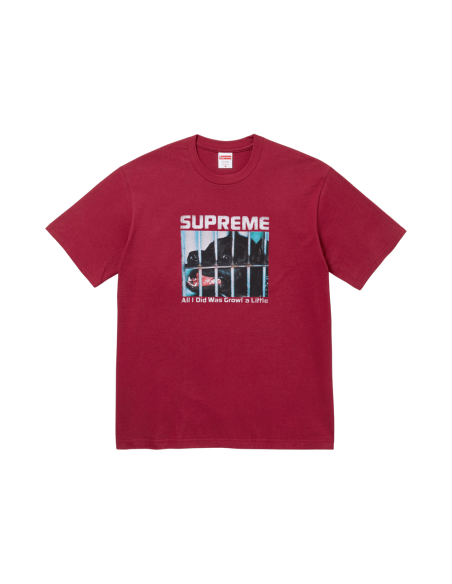 Supreme Growl Tee 'Cardinal' FW26T5CARDINAL MBS