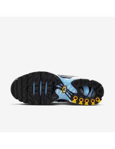 Nike Air Max Plus Black Light Smoke Grey DM0032042 MBS