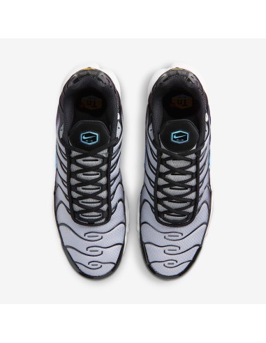 Nike Air Max Plus Black Light Smoke Grey DM0032042 MBS