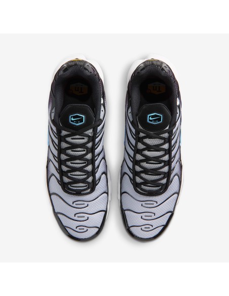 Nike Air Max Plus Black Light Smoke Grey DM0032042 MBS