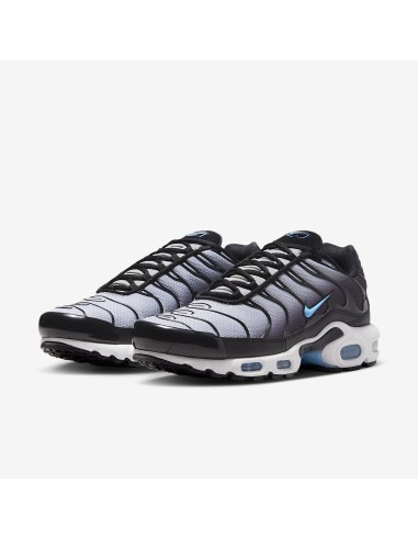 Nike Air Max Plus Black Light Smoke Grey DM0032042 MBS