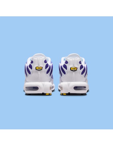 Nike Air Max Plus White Gradient Blue DM0032111 MBS
