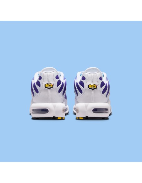 Nike Air Max Plus White Gradient Blue DM0032111 MBS