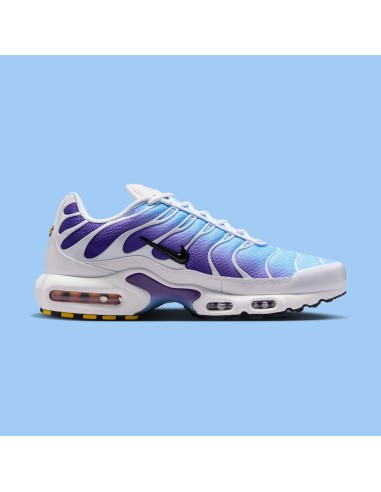 Nike Air Max Plus White Gradient Blue DM0032111 MBS