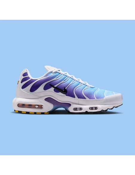 Nike Air Max Plus White Gradient Blue DM0032111 MBS