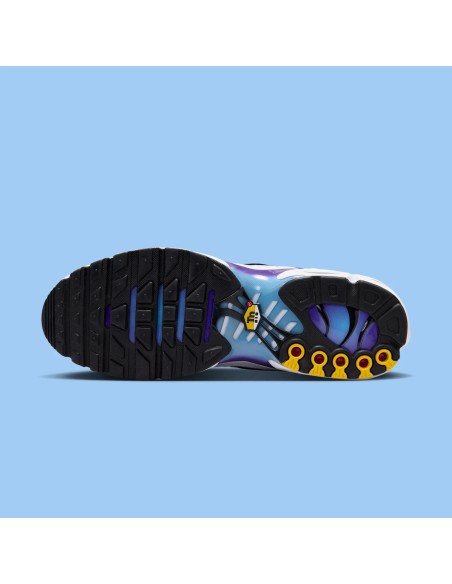 Nike Air Max Plus White Gradient Blue DM0032111 MBS