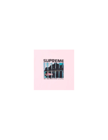 Supreme Growl Tee 'Light Pink' FW26T5LIGHTPINK MBS