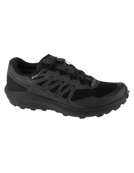 Salomon Temper GTX L47787100