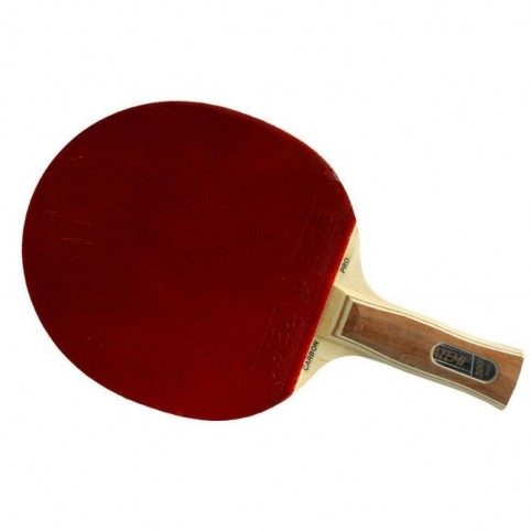 Atemi 3000 table tennis racket
