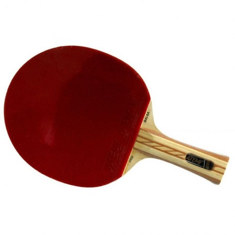 Atemi 4000 table tennis racket