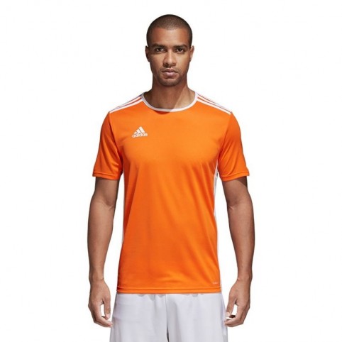 Adidas Entrada 18 Jersey Ανδρικό Αθλητικό T-shirt Κοντομάνικο Πορτοκαλί CD8366