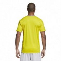 Adidas Entrada 18 CD8390 football jersey