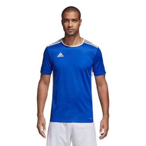 Adidas Entrada 18 Jersey Ανδρικό Αθλητικό T-shirt Κοντομάνικο Μπλε CF1037