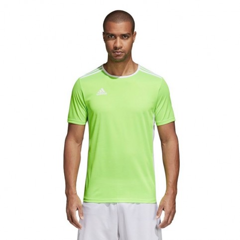 Adidas Entrada 18 Jersey Ανδρικό Αθλητικό T-shirt Κοντομάνικο Πράσινο CE9758