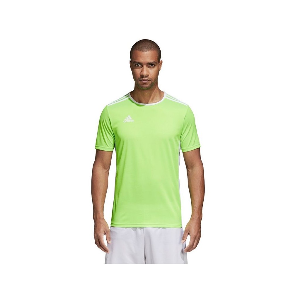 Adidas Entrada 18 Jersey Ανδρικό Αθλητικό T-shirt Κοντομάνικο Πράσινο CE9758