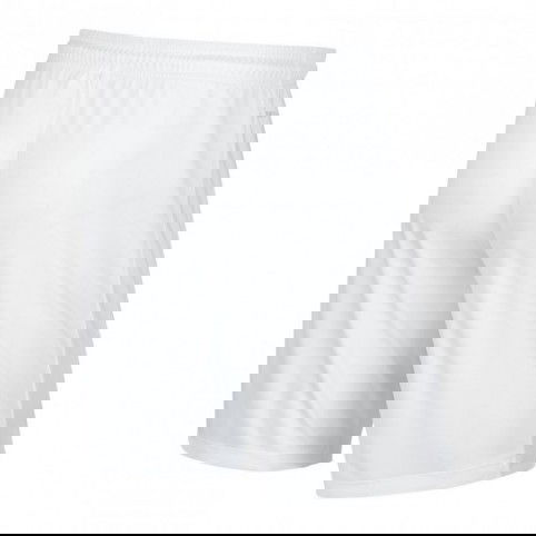 Football shorts Nike Park II M 725887-100