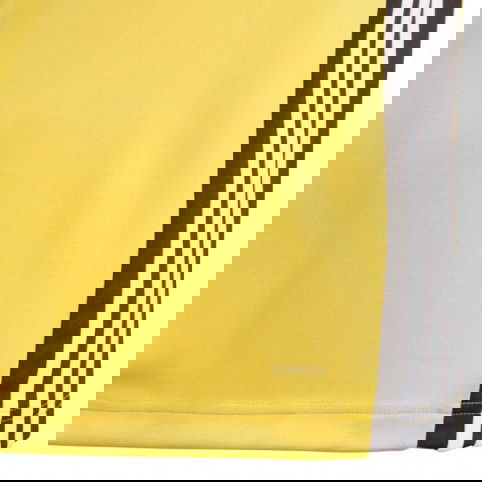 SWEATSHIRT adidas REGISTA 18 TRAINING yellow JR DJ1841