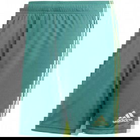 Adidas M Tastigo 19 Shorts DP3251 shorts