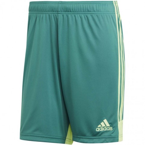 Adidas M Tastigo 19 Shorts DP3251 shorts
