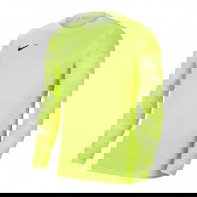 Nike Dry Park IV M CJ6066-702 sweatshirt