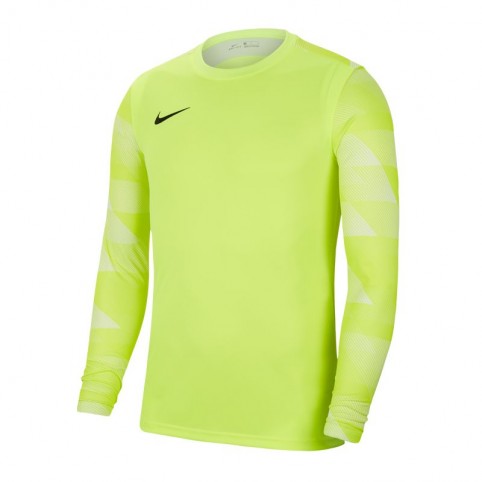 Nike Dry Park IV M CJ6066-702 sweatshirt