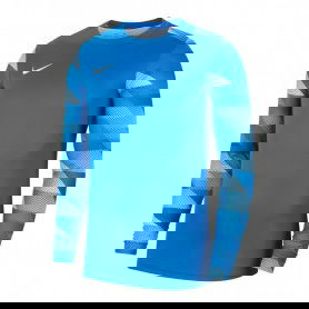 Nike Dry Park IV M CJ6066-463 sweatshirt