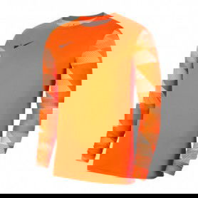 Nike Dry Park IV M CJ6066-819 sweatshirt