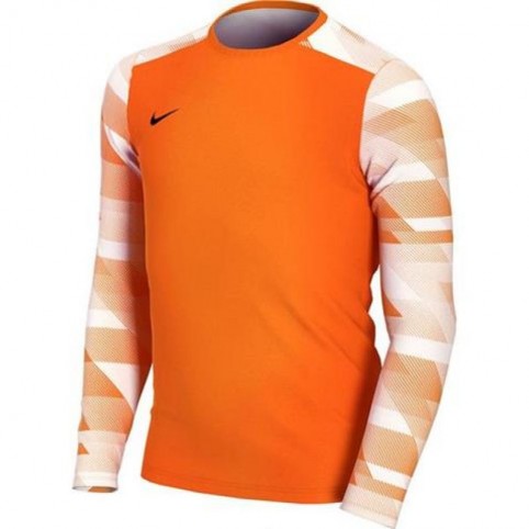 Goalkeeper jersey Nike Dry Park IV JSY LS JR CJ6072-819