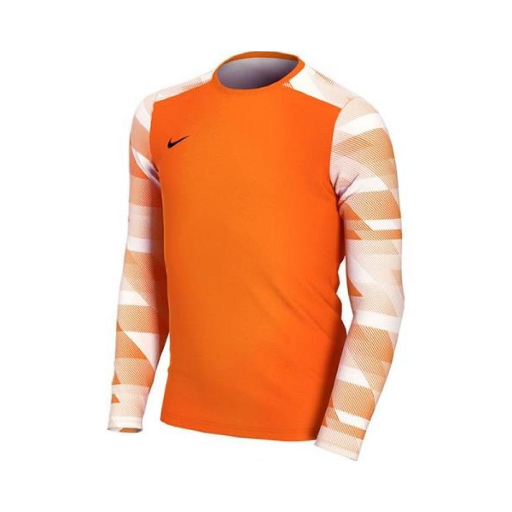 Nike Dry Park IV CJ6072-819 Παιδική Φανέλα Τερματοφύλακα Ποδοσφαίρου