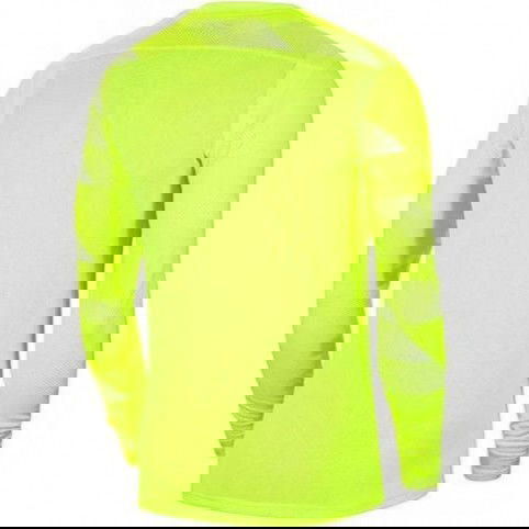 Goalkeeper jersey Nike Dry Park IV JSY LS GK JR CJ6072-702