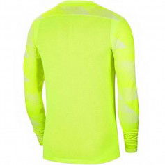 Goalkeeper jersey Nike Dry Park IV JSY LS GK JR CJ6072-702