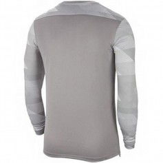 Goalkeeper jersey Nike Dry Park IV JSY LS GK JR CJ6072-052