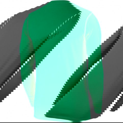 Nike Park 20 Crew Top M BV6875 302 sweatshirt