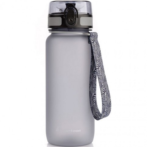 Meteor 650 ml bottle 74576