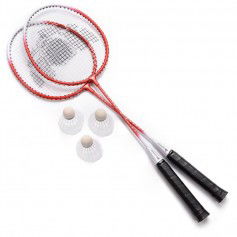 Meteor Motion 2 20076 badminton set